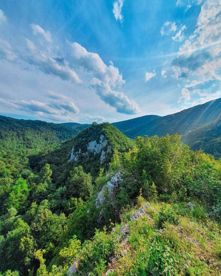 Restoran Sa Prenocistem Gornjak Krepoljin エクステリア 写真